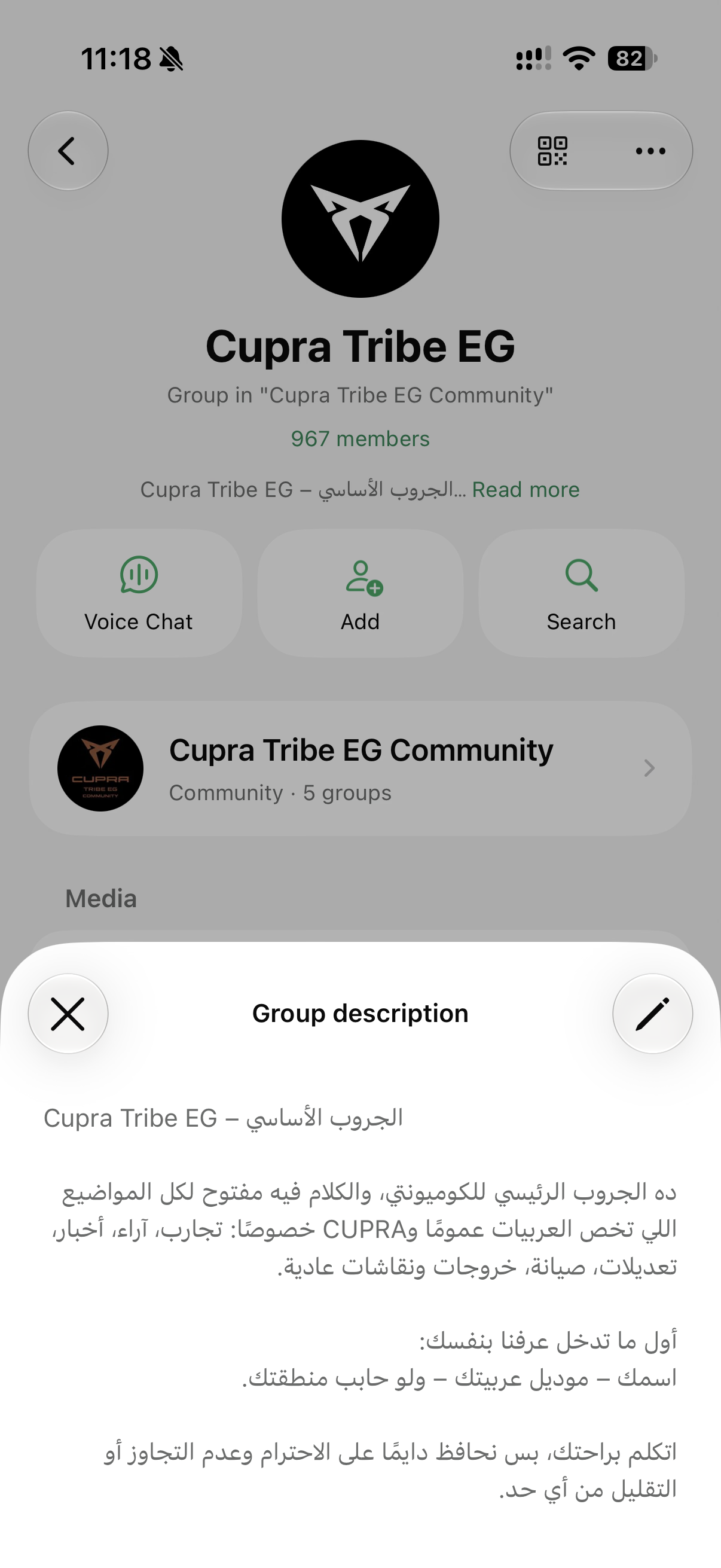 The main group